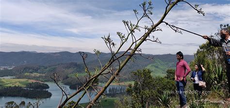 Trekking in Ooty, mountain climbing, lakeview, hiking inside forest