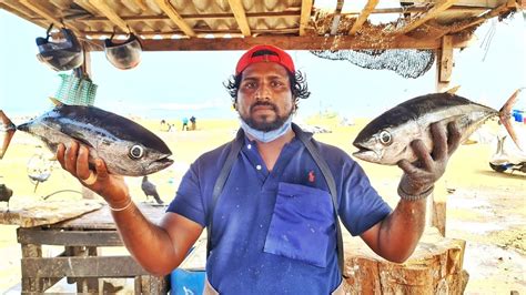 Yellowfin Tuna Fish Cutting Tuna Fish Cutting Skill Mr Sampath