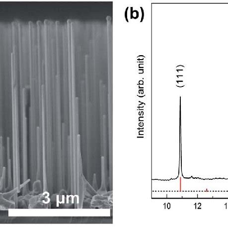 A Side View Sem Image Of Gaas Nws Grown On The Si Substrate By