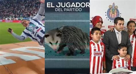 Afición Recordó Los “momentos Humildes” De La Liga Mx Infobae