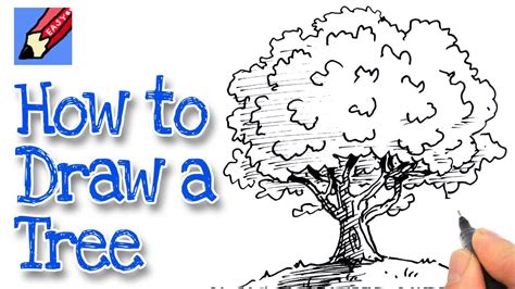 How To Draw A Realistic Tree