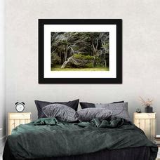 Windswept Forest Trees Wall Art | Photography