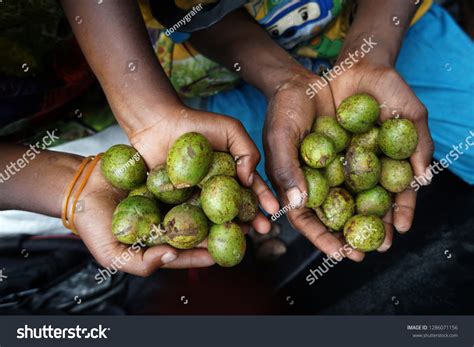 658 Fiji fruit Images, Stock Photos & Vectors | Shutterstock