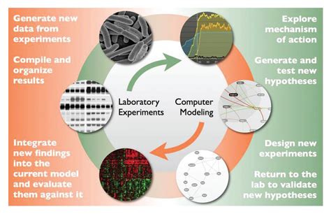 The Benefits Of Biological Modelling Drug Discovery World DDW