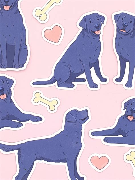 Black Lab Stickers Black Labrador Stickers Labrador Etsy