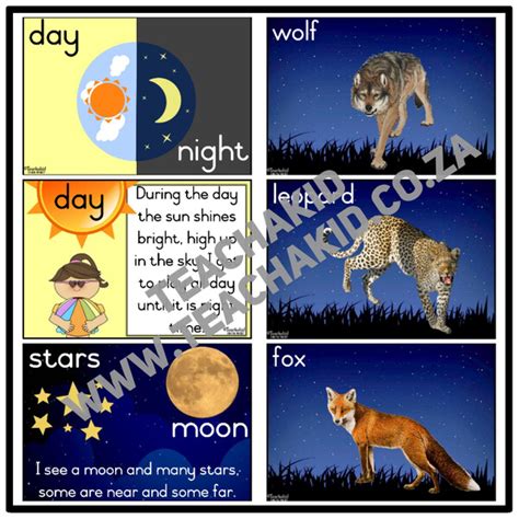 Day, night and night animals - Life Skills theme (PDF) - Teachakid