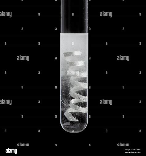 Magnesium Acid Reaction Magnesium Ribbon Reacting With An Acid In A