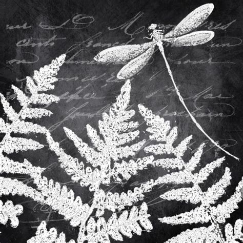 Dragonflies Design Chalkboard Drawings Chalkboard Art