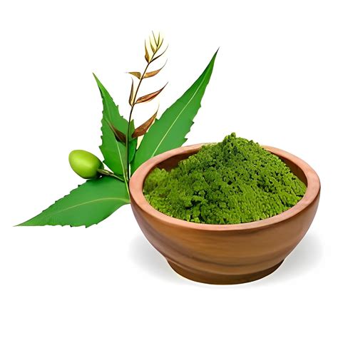 Neem Leaves Powder Rudra Nandi International