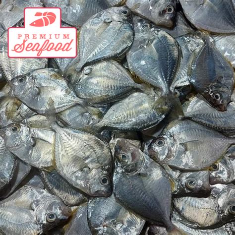 Fresh Slipmouth Fish [Sapsap | Sap Sap] - order price / 500 grams ...