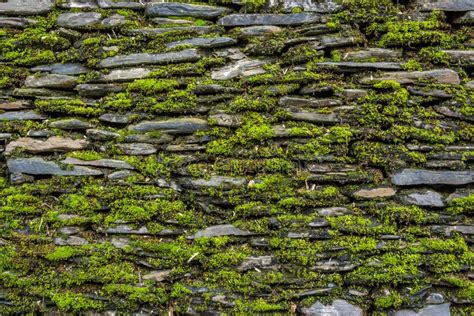 Parede De Pedra Musgo Verde Foto De Stock Imagem De Arquitetura