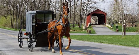 Things To Do in Amish Country - Shipshewana Bed and Breakfast | McKenzie House B&B