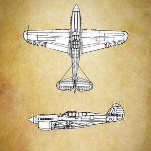 Curtiss P40 Warhawk Blueprint Digital Art By Airpower Art Fine Art