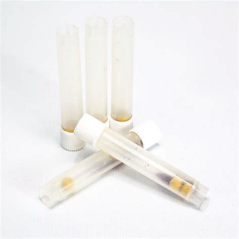 Mp Biomedicals Tallprep Lysing Matrix A Ml Tubes Tallprep Lysing