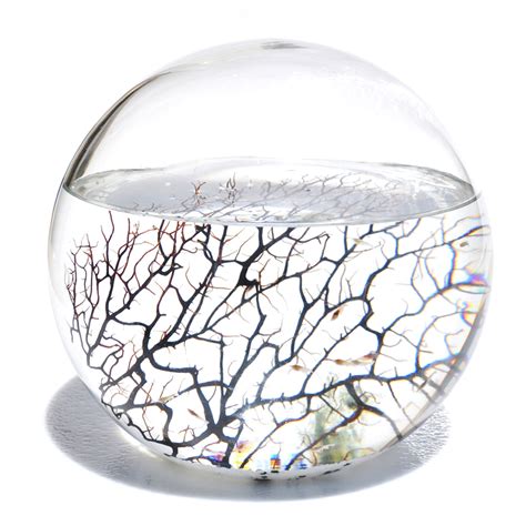 extra large sphere ecosphere touch  modern