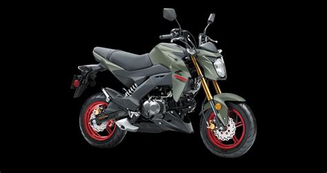 Kawasaki Z Pro Top Speed Specs Price Mileage