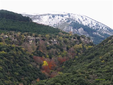 Montes Obarenes Entorno Y Vida Obarenes Uloba Alto Cabezas