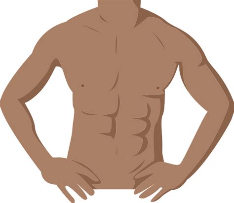 Explore Creative Body Chest Cliparts Unique Graphics For Your Projects