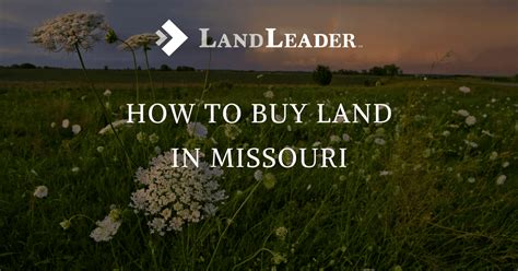 Buy Land in Missouri: Expert Guide | LandLeader