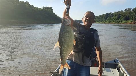 Rio Ivai Hercul Ndia Pr Pescaria Muita A O S Bruta