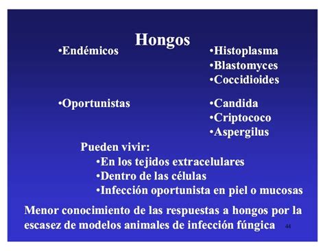 Sistema Inmune E Infeccion Bacterias Intracelulares