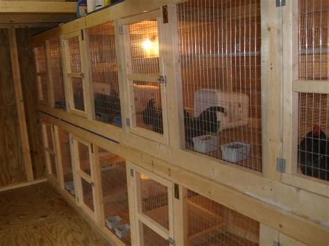 New Breeder Barn Finally Finished Backyard Chickens Learn How To