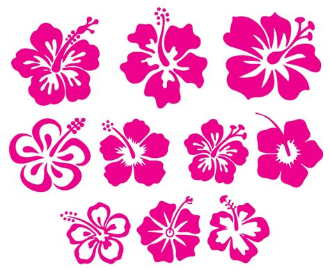 Hibiscus Flower Svg Hibiscus Svg Bundle Hawaiian Flower Svg Hibiscus