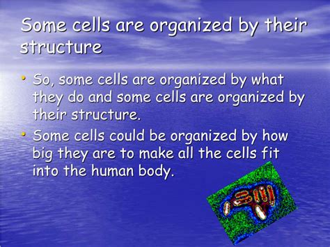 Ppt The Way Cells Are Organized Powerpoint Presentation Free