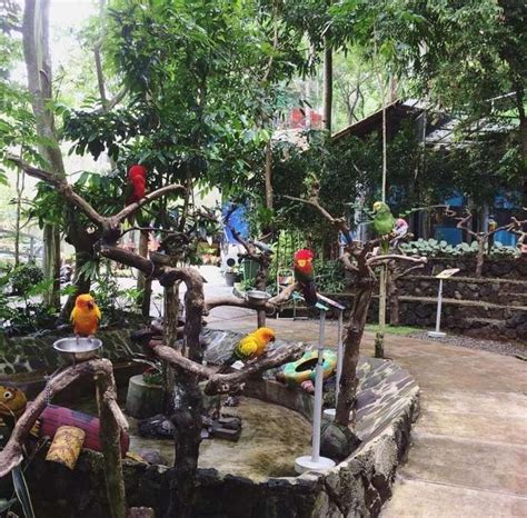 Tempat Wisata Cocok Untuk Healing Di Bandung Sudah Coba