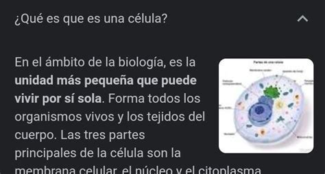 Que Es La Celula Brainly Lat