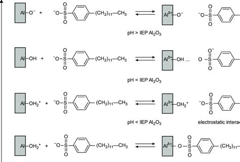 Proposed Mechanisms Of Adsorption Of Dodecylbenzenesulfonic Acid In An