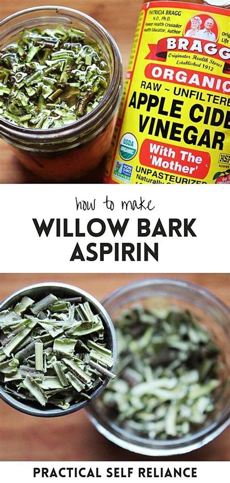 How to make willow bark aspirin – Artofit