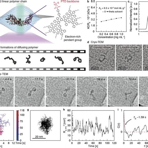 Phase Behavior Of A Cryo Sample In A Melting And Revitrification