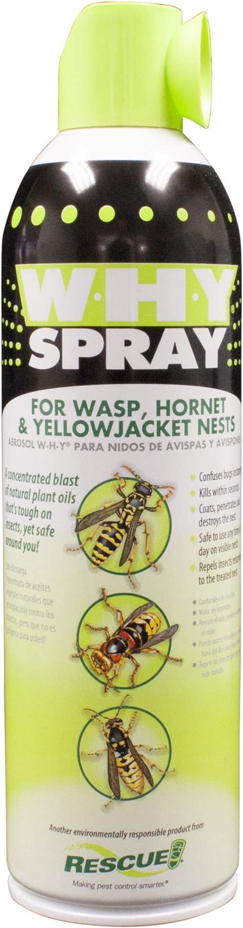 Ecosmart Organic Wasp And Hornet Killer 14 Oz Aerosol Spray Can Ecosmart Hornet