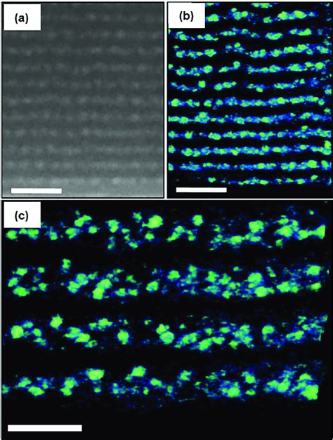 A Eftem Projection Image Taken From A Thinner Part Of The Specimen B