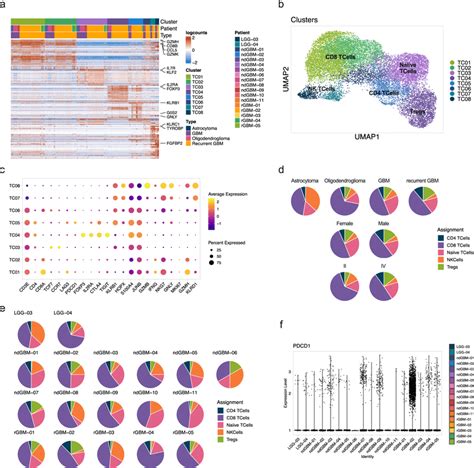 Heterogeneity Of Glioma Associated T And Nk Cells 18483t And Nk Cells