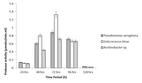 Protease Activity Profile Of The Three Strains Which Were Isolated From