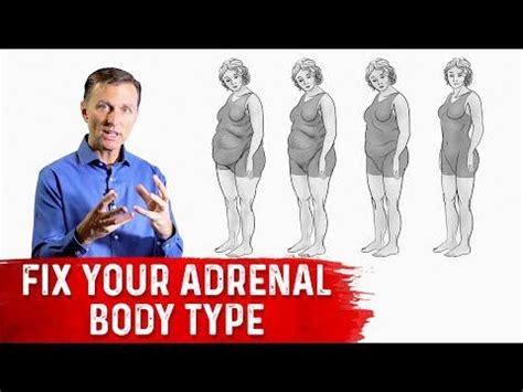 Adrenal Body Type What It Is And How To Fix It Dr Berg Adrenals