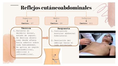 Reflejos Cutaneoabdominales Doctor Teco UDocz