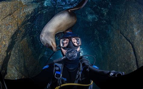 Scuba Diving - The Cortez Club