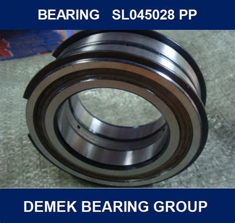 Full Complement Cylindrical Roller Bearing SL045028 PP China Bearing