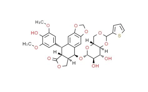 替尼泊苷 浙江恒腾福药业有限公司