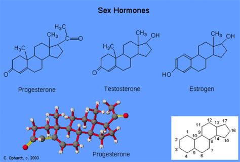 Steroids Chemistry Libretexts