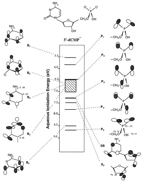 Conduction Band Edge Ionization Thresholds Of DNA Components In Aqueous