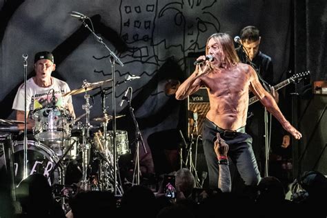 Iggy Pop Unites With Duff Mckagan Chad Smith At Ferocious Every Loser