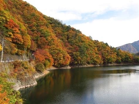 奥多摩湖の紅葉｜紅葉情報2024