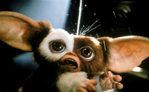 Gizmo Gremlins Wallpaper - Gizmo Wet (#1393640) - HD Wallpaper ...