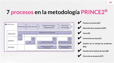 Metodologías de gestión de proyectos Guía completa CCFProsario ar