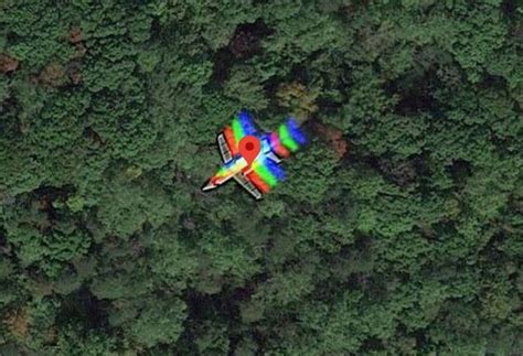 Google Maps: Mysterious plane 'crash' in wood spotted on satellite in ...