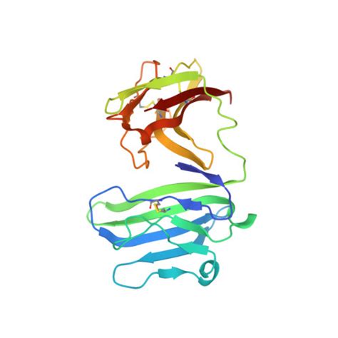 Rcsb Pdb Isc Complex Structure Of Mcd Ecto And Hcd D